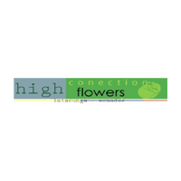 Hiconect logo